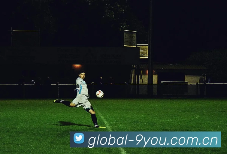 九游体育平台生态图