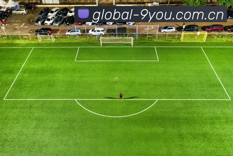 九游体育APP 封面图