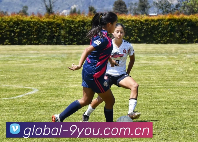 数据防护可视化